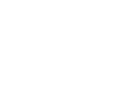 Playera Studio